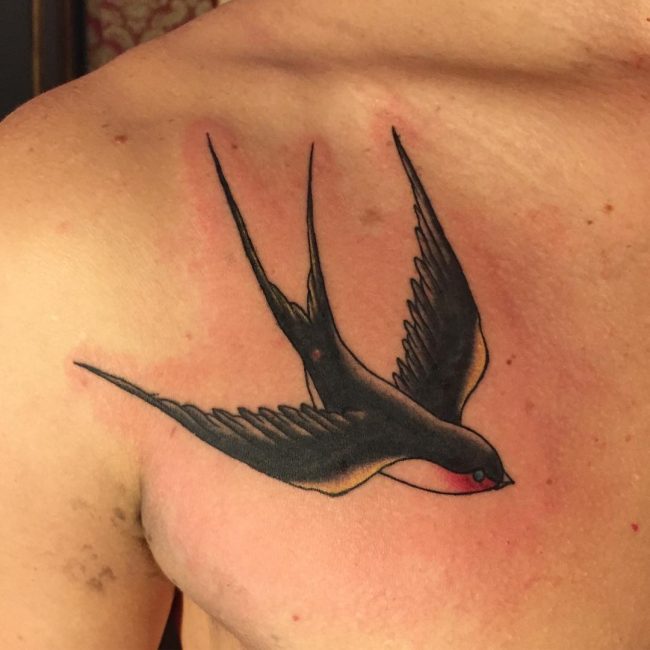 Bird Swallow Tattoo 13