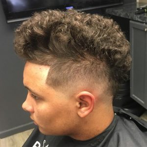 thick-and-curly-hawk