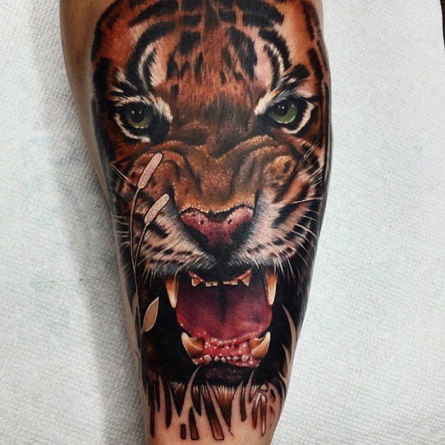 tiger tattoo61