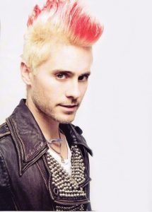 9 The Pink Mohawk