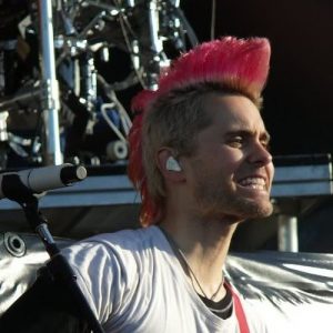9-the-pink-mohawk