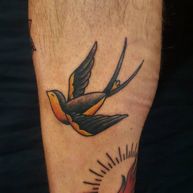 swallow-tattoo-46