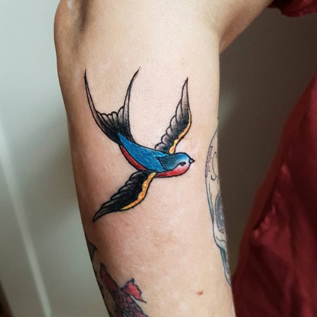 swallow-tattoo-55