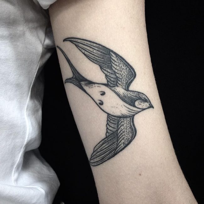swallow-tattoo-66
