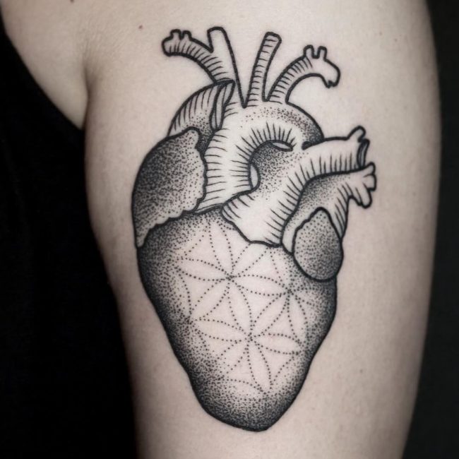 anatomical-heart-tattoo-14