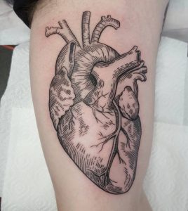 anatomical-heart-tattoo-38