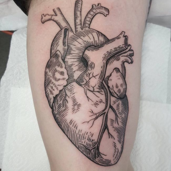 45 Beautiful Anatomical Heart Tattoo DesignsThe Art of Biological Realism