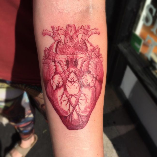 anatomical-heart-tattoo-41