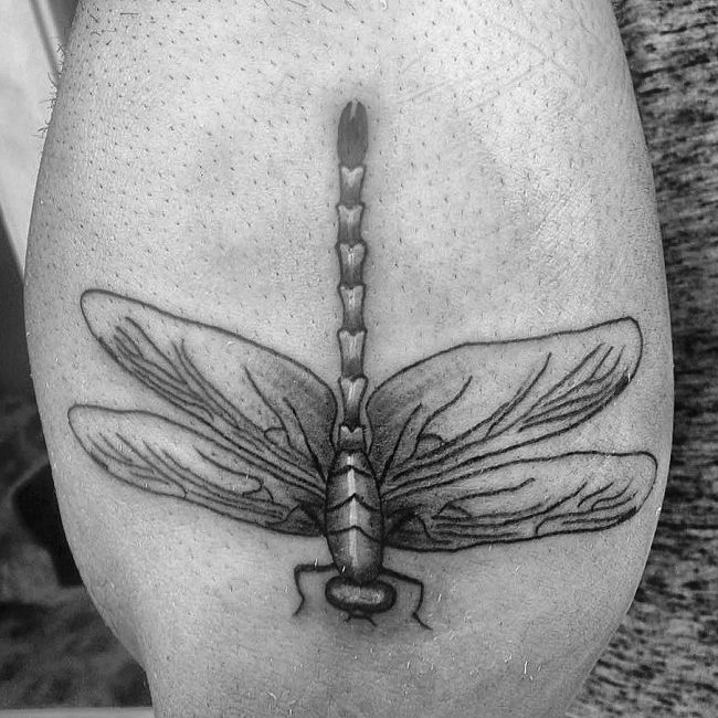 dragonfly-tattoo-15
