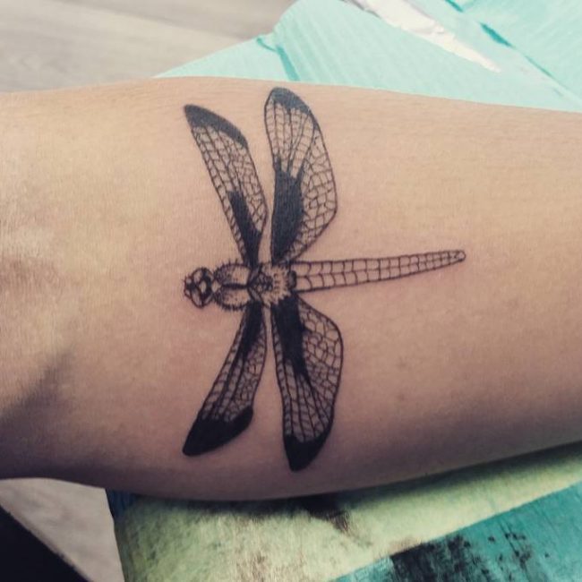 65 Stunning Dragonfly Tattoo Designs - Join the Trend