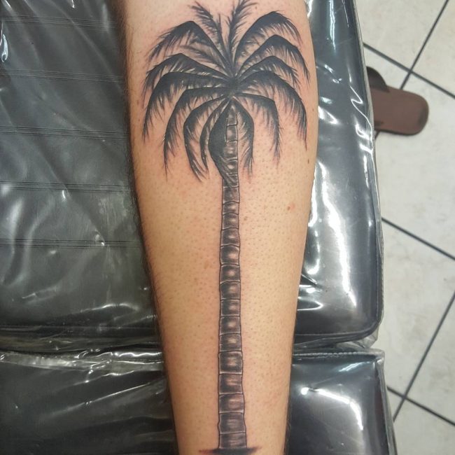 55 Fine Palm Tree Tattoo Ideas - Easy and Super Cute Totems