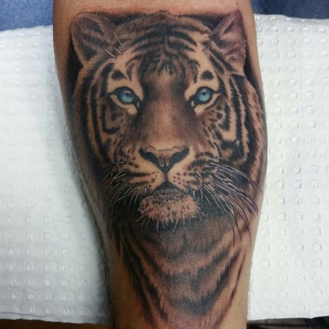 60 Awe-inspiring Tiger Tattoo Ideas - Take a Great Pride In