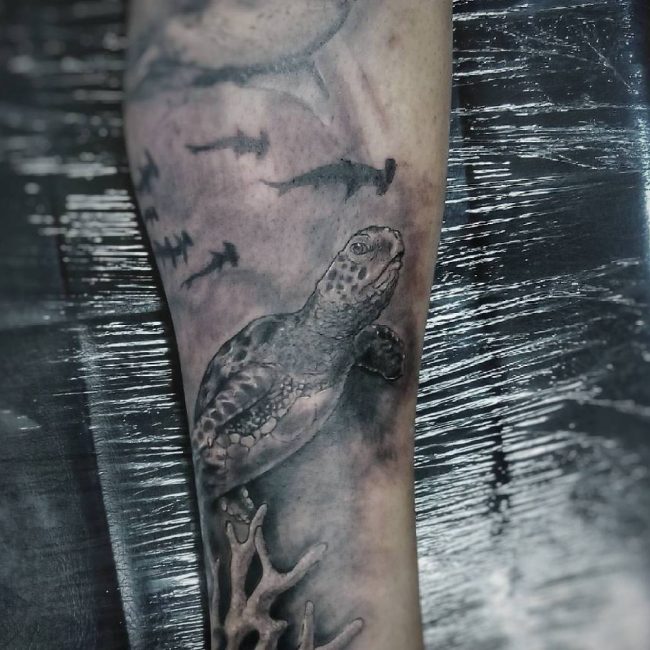 turtle-tattoo-40