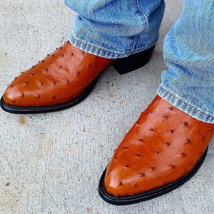 19 Ostrich Print Cowboy Boots