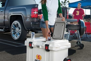 Top 10 Best Pelican Coolers Reviews — Complete Buying Guide